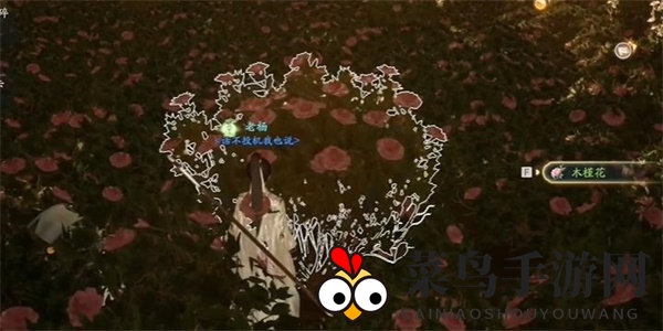 《射雕》木槿花收集攻略
