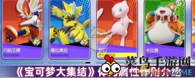 《宝可梦大集结》探秘：体力精髓与装备秘籍，助力战场求生之道