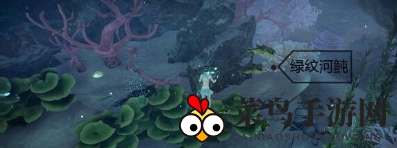《天谕手游》绿纹河鲀位置揭秘