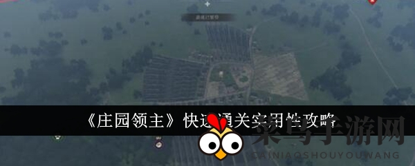 《庄园领主》通关攻略：高效升级，轻松征服关卡秘诀大公开