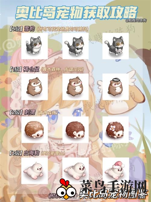 《奥比岛手游》宠物获取大全