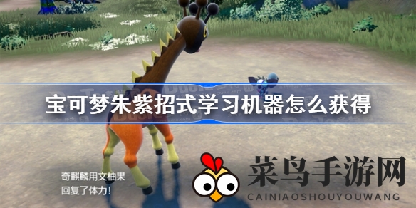 《宝可梦》招式秘宝揭秘，轻松升级宝可梦战力攻略