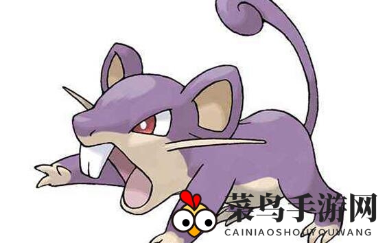 《宝可梦大探险》小拉达培养及技能选择推荐