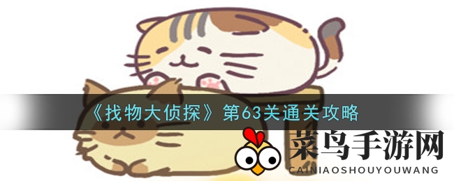 《寻宝侦探之旅》第63关通关秘籍大揭秘，挑战你的智慧极限！