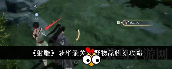 《射雕梦华录》宝藏探险记：解锁珍稀宝物搜集秘籍