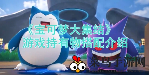 《宝可梦大集结》装备攻略大揭秘：打造个性化战神，掌握竞技策略精髓