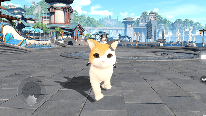 《天谕手游》猫猫坐骑一览