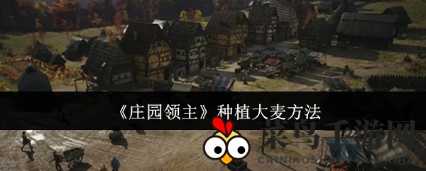 《庄园领主》种植攻略：揭秘大麦酿造美酒的高手秘籍，掌握丰收之道