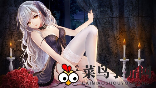 《姬魔恋战纪》司马懿人物档案