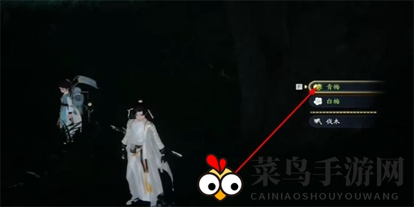 《射雕》青竹梅搜集攻略