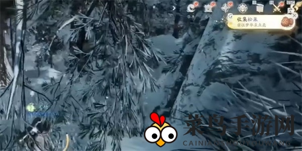 《射雕》松果收集攻略