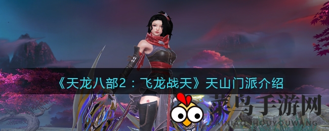 《天龙八部2：飞龙战天》天山派风采揭秘，寒冰外功近战，输出爆发魅力无限