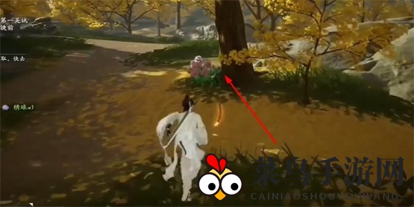 《射雕》绣球一成就达成攻略