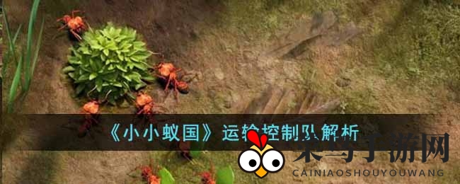 《小小蚁国》运输控制队解析