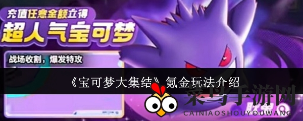 《宝可梦集结》巧氪金术：解锁战斗力巅峰，畅游梦幻战界