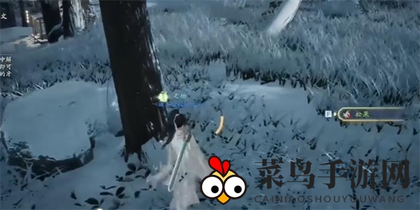 《射雕》松果收集攻略