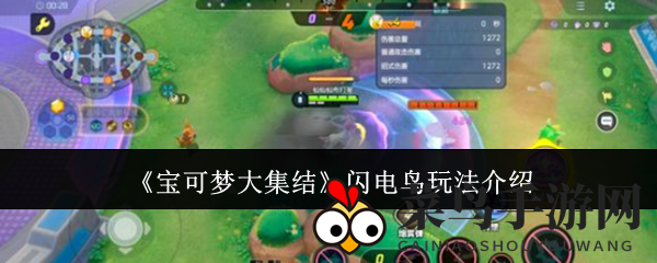 《宝可梦集结》闪电鸟掌控术：神速突袭，战术解析，轻松登顶！