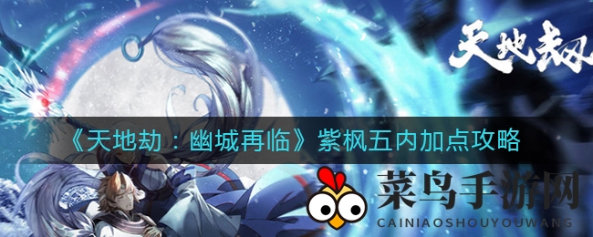 《天地劫：幽城再临》紫枫英灵攻略，探秘五内加点与战斗技巧