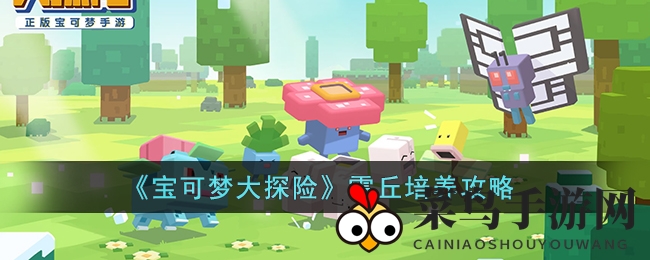 《宝可梦探险寻宝》雷丘技能培养全解析，解锁寻宝利器，提升战斗实力