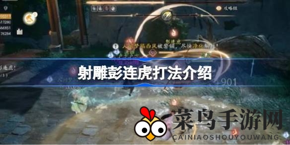 《射雕》副本挑战：剑扫千军，旋风挠心，战胜强敌攻略大揭秘