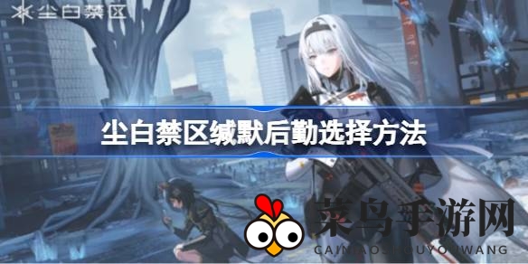 《尘白禁区》揭秘：揭秘战场幕后英雄，缄默后勤角色精挑细选术