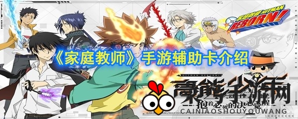 《家庭教师》手游辅助卡深度解析