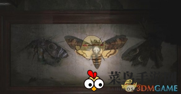 《寂静岭2重制版》M房间飞蛾解密谜题答案分享