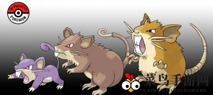 《宝可梦探险记》揭秘：小拉达美食图鉴，生存技巧一网打尽