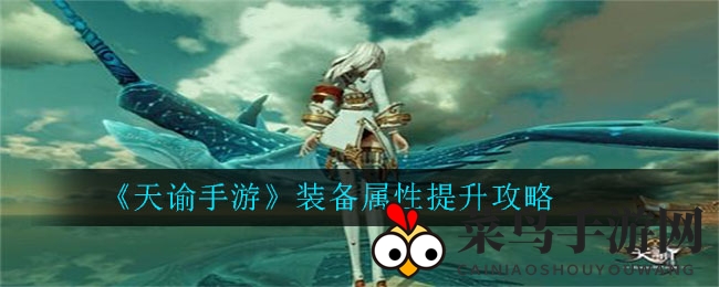 《天谕》装备秘境解锁，属性升级引领战力巅峰之旅