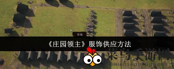 《庄园领主》服饰满仓秘籍：市场布局与产量提升攻略大公开