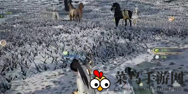 《射雕》六角白梅收集攻略