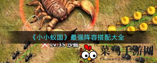 《小小蚁国》最强阵容曝光，四大组合助你称霸战场攻略详解