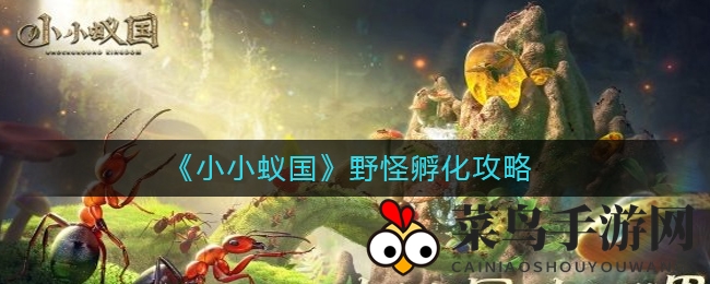 《小小蚁国》野怪孵化攻略