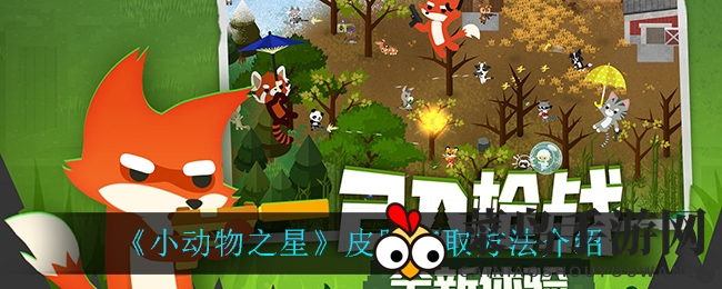 《小动物之星》皮肤秘籍：轻松换购，个性造型轻松拥有