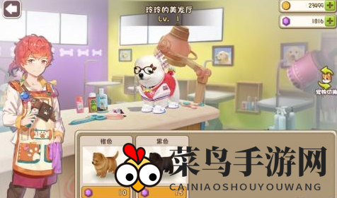 《小汪汪》奇境探秘：活力加油站，宠物活力满载攻略