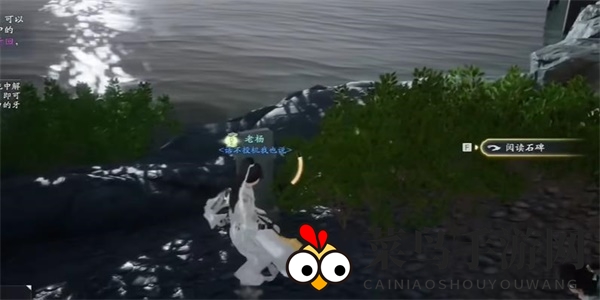 《射雕》鲤鱼有灵成就攻略