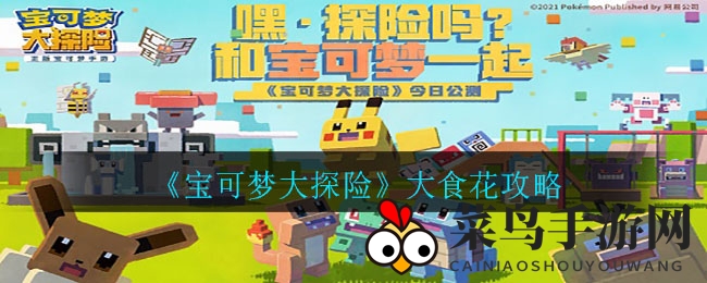 《宝可梦大探险》探秘大食花，独家食谱秘籍解锁攻略攻略大全