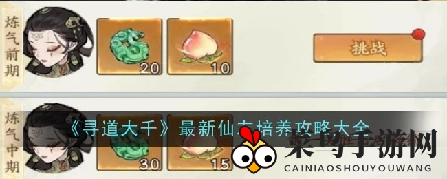 《寻道大千》仙侣养成攻略：深度解析高效提升战斗力的仙侣培养策略