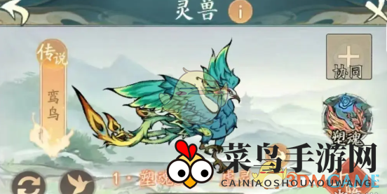 《寻道大千》终极减免伤害快速提升技巧