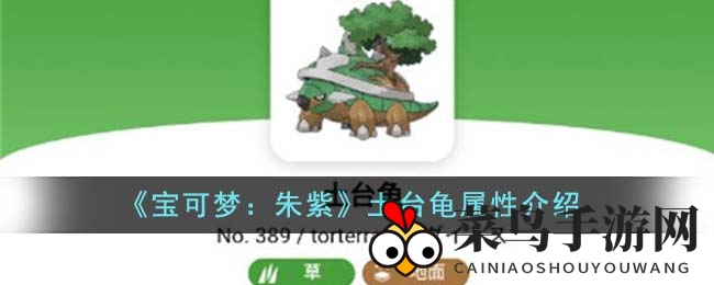 《宝可梦：朱紫》土台龟进化之路揭秘，特性与战斗优势解析