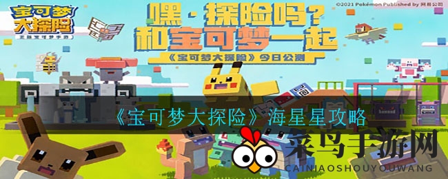 《宝可梦探险之旅》海星星烹饪秘籍大公开，解锁美味新境界