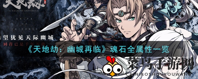 《天地劫：幽城再临》魂石深度解析，五大类型属性全揭秘，攻略攻略助你战力飙升