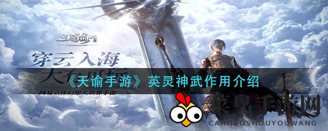 《天谕手游》英灵神武作用详解