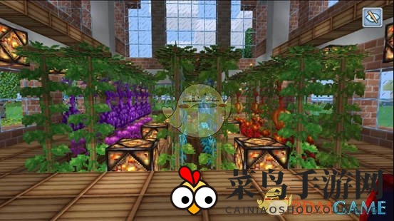 《奶块》联结种植介绍